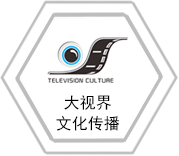 大視界文化傳播