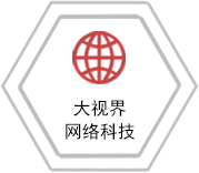 大視界網絡科技